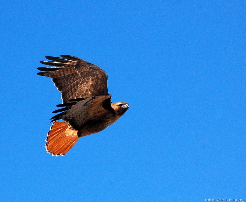 [DSC_5680-1%255B4%255D.jpg]