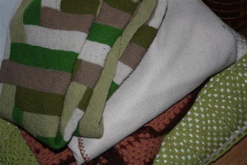 20081110 (1) (Small)