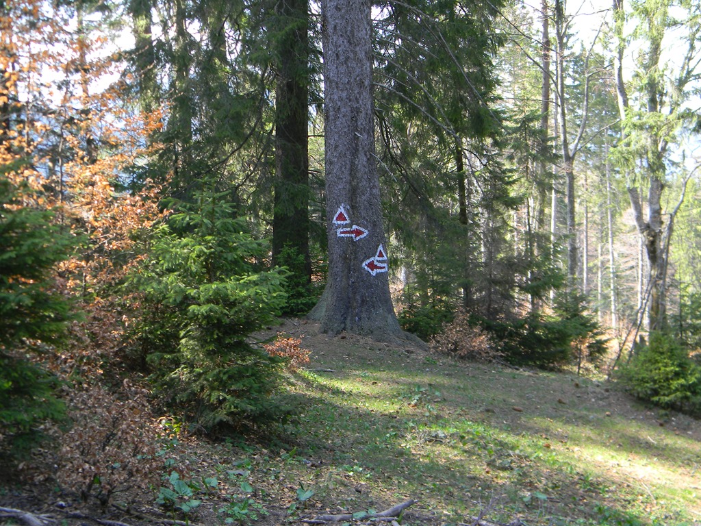 [DSCN79783.jpg]