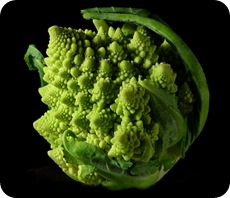 Fractal_Broccoli