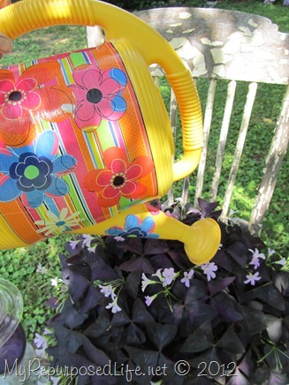 Mod Podge Watering Can 