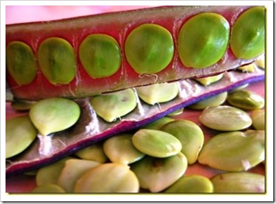 Guaxmole or Huaxmole | easy and with excellent results Guaxmole or Huaxmole | easy and with excellent results