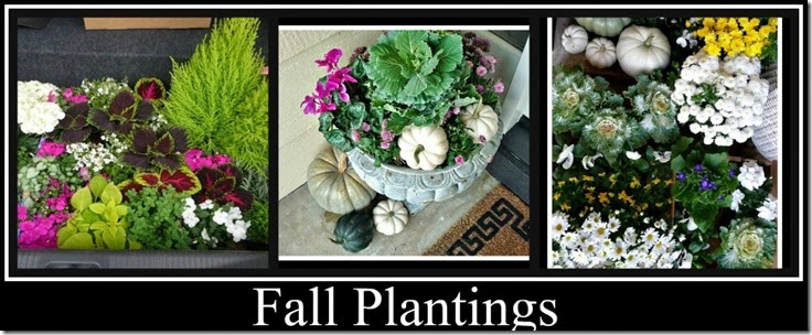 Ribbet collage Fall plantings