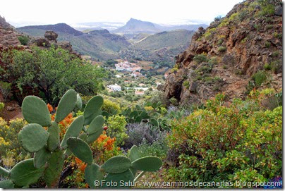 7848 Temisas-Agüimes(Los Cañadones) 7848 Temisas-Agüimes(Los Cañadones)