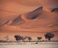Gurun pasir