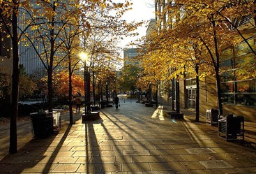 800px-Rays_of_autumn_light_in_Toronto