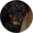 Potomac Pediatric Dentistry - Family Dentistry and Orthodontics