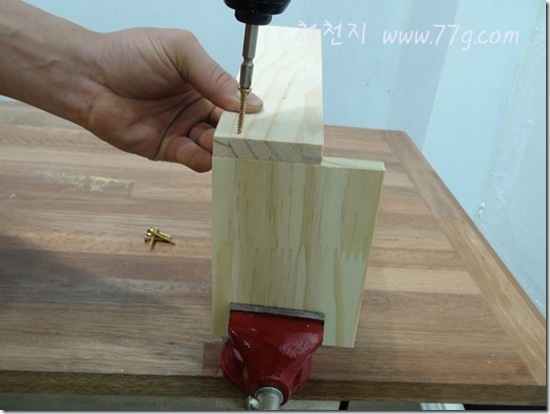DIY1155_DSC09287