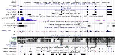Hgt genome 596a ac7fe0