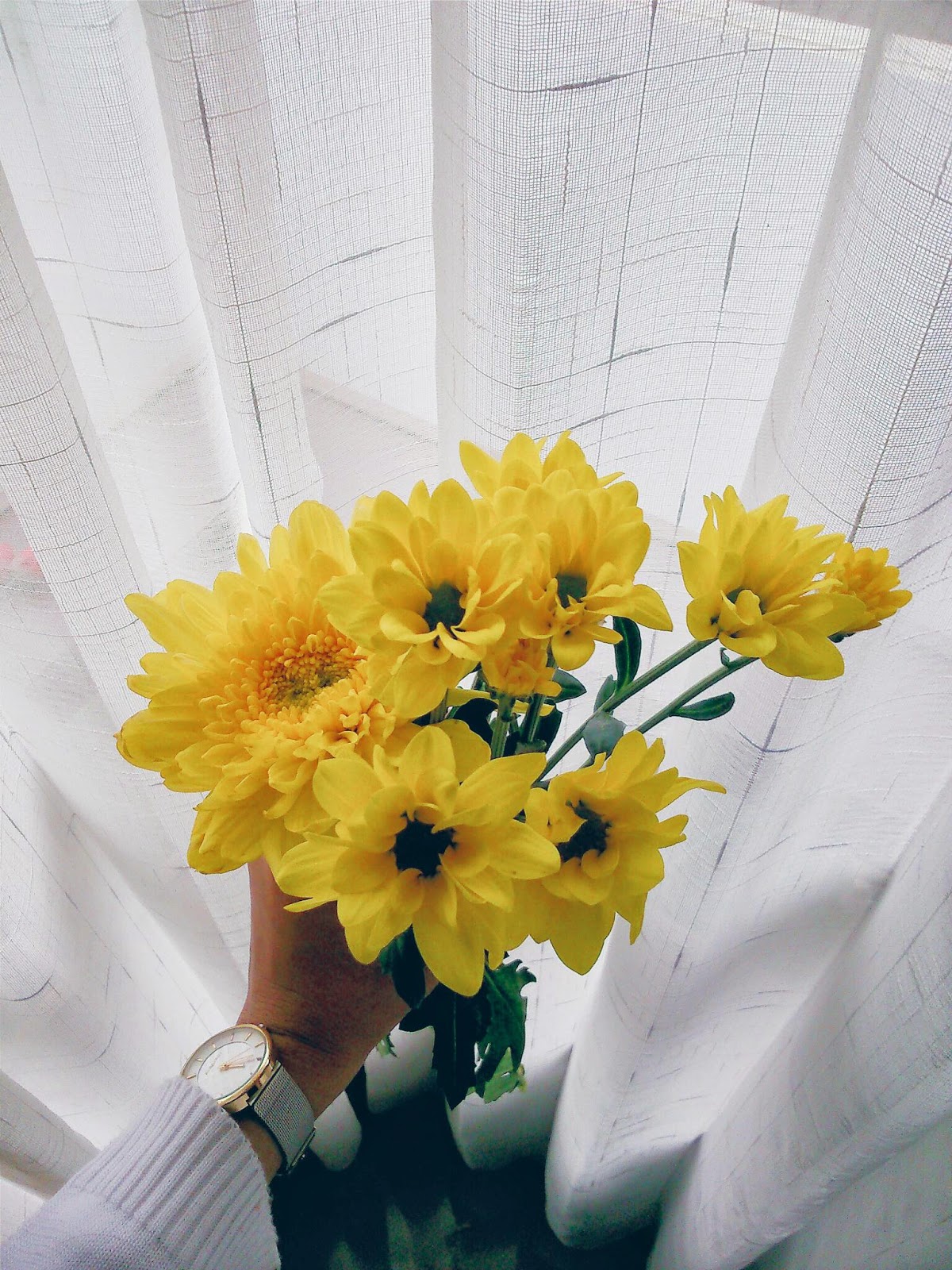 Yellow monday. Yellow monday. Музыка еллоу слушать бесплатно. Пенал british (желтый). Yellow monday.