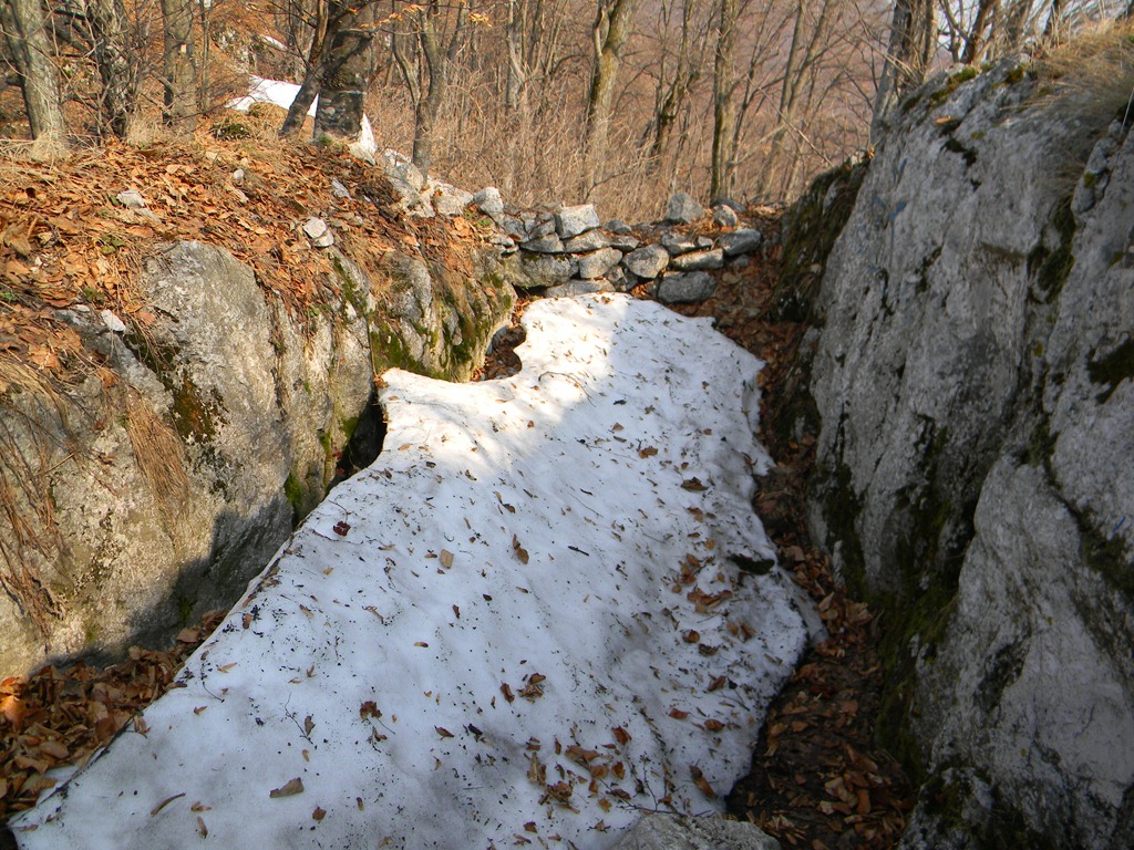 [DSCN73893.jpg]