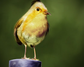 Real Time Angry Birds