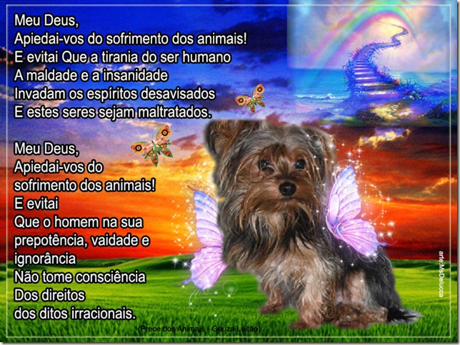 prece_dos_animais