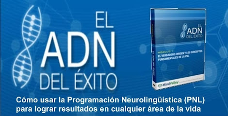 EL ADN DEL ÉXITO, Marcelo Vinzón [ Curso PNL ] – Cómo usar Programación Neurolingüística para lograr resultados en cualquier área de la vida
