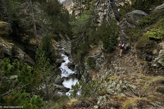 Barranc de Peixerani, sobre l'estany Llong.Parc Nacional d'Aigues Tortes i Estany de Sant Maurici.La Vall de Boi, Alta Ribagorca, Lleida