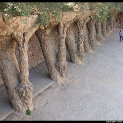 62.- Gaudí. Parque Güell
