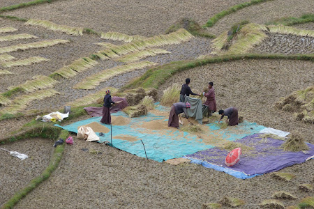 Imagini Bhutan rural