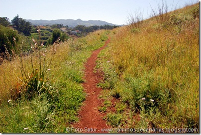 5418 Circular a Firgas-R2 5418 Circular a Firgas-R2