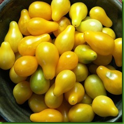 Tomate Yellow Pear