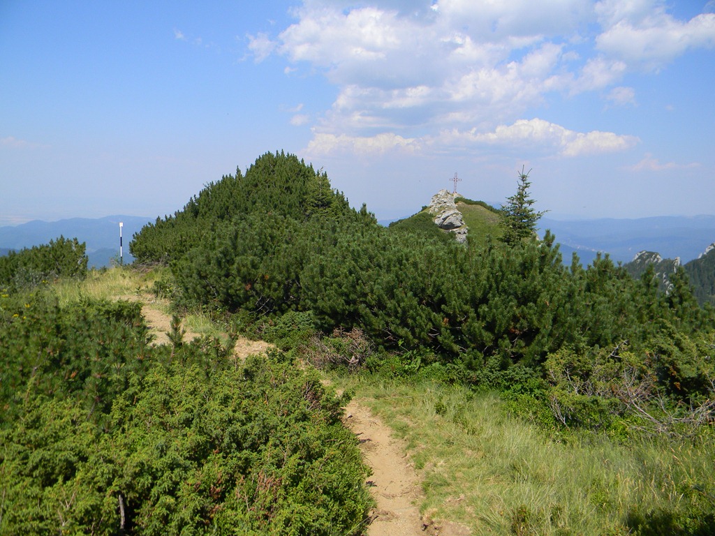 [DSCN40153.jpg]