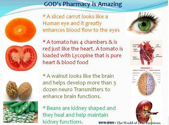 God's Pharmacy is Amazing!