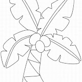 tropical-flower-coloring-pages-1_LRG.jpg
