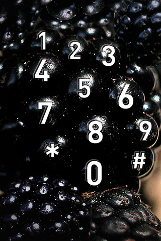 3420851836_d7b3dd9317