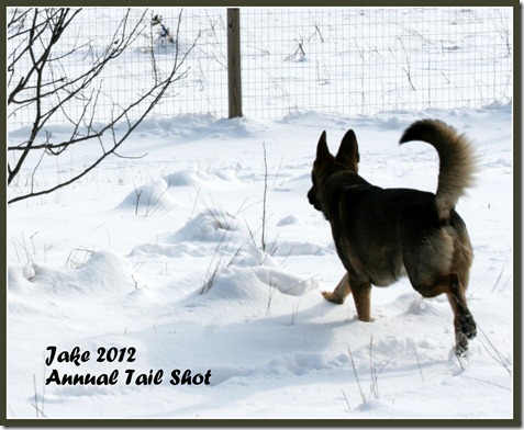 Jake 2012 Annual Tail Shot