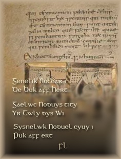 Gaelic Notes in The Book of Deer Cover