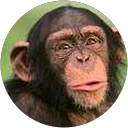 Image Google de Alain Durand
