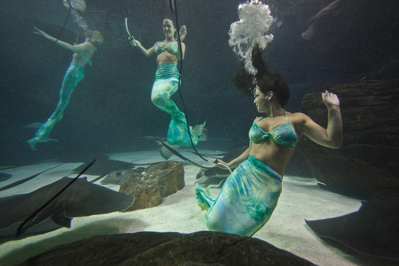 weeki-wachee-mermaids-12