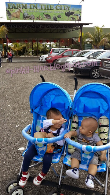 Bawa Anak Kenali Haiwan Secara Dekat di Farm In The City, Seri Kembangan Bawa Anak Kenali Haiwan Secara Dekat di Farm In The City, Seri Kembangan