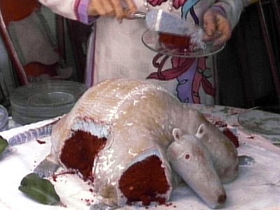 [armadillo%2520cake%255B6%255D.jpg]
