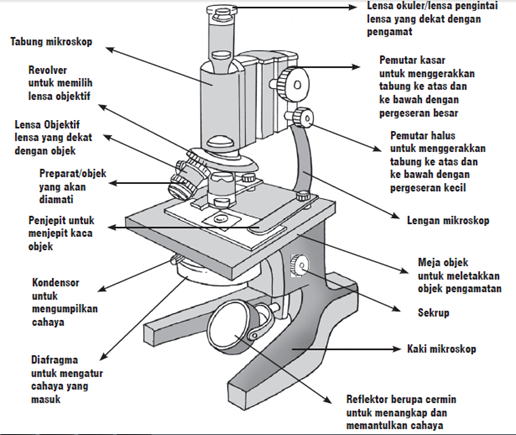Bagian - bagian mikroskop