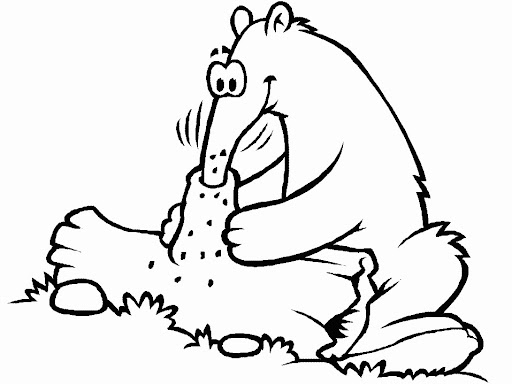 Oso Hormiguero Para Colorear E Imprimir Imagui