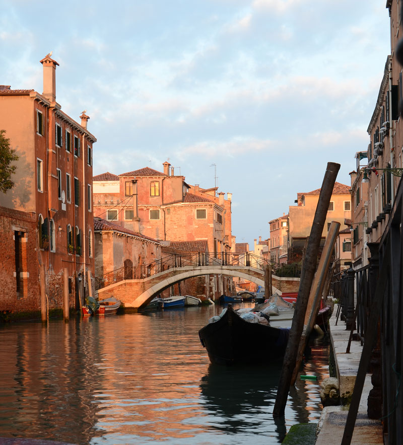 DSC_5109.jpg DSC 5109