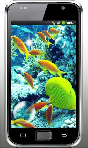 Tropical Fish live wallpaper