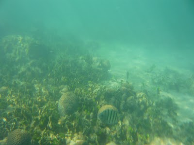 P1050253.JPG