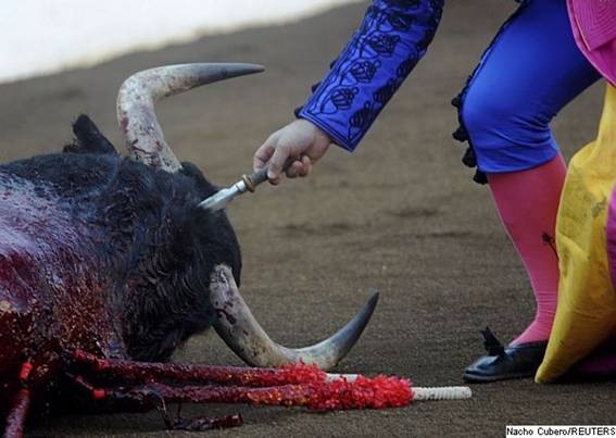 [clip_image002%255B3%255D.jpg]