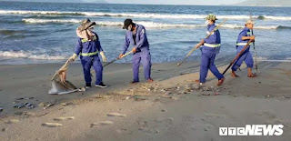 Các công nhân thu gom cá chết dạt vào bờ biển và vận chuyển đi chôn lấp tại bãi rác Khánh Sơn. Các công nhân thu gom cá chết dạt vào bờ biển và vận chuyển đi chôn lấp tại bãi rác Khánh Sơn.