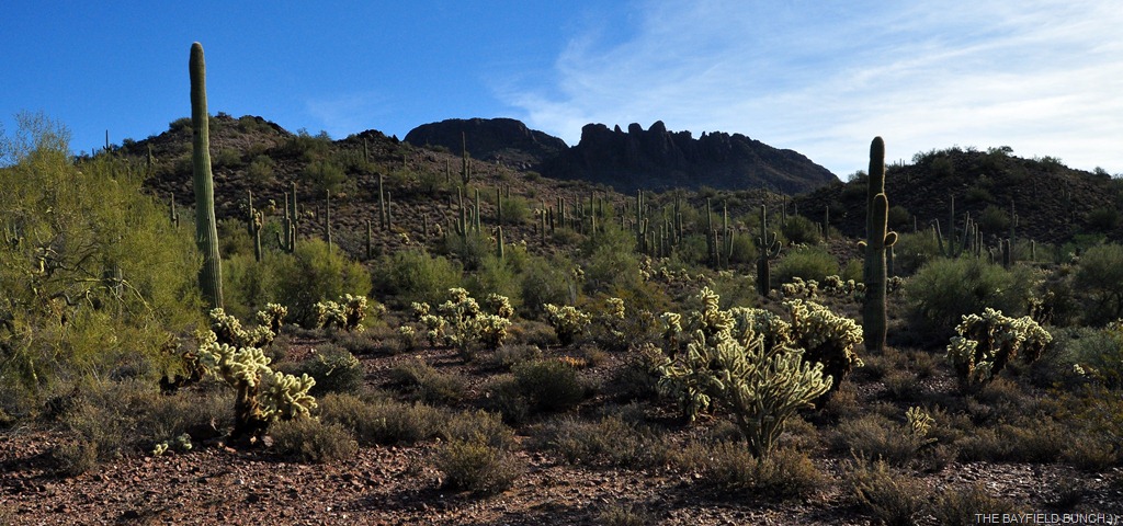 [DSC_0007%255B3%255D.jpg]