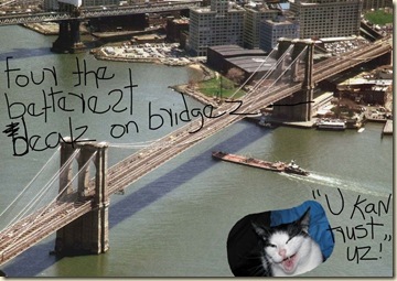 KweeCats_Selling_Brooklyn_Bridge