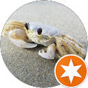 karlcamis profile picture