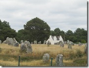 IMG_5169 IMG_5169