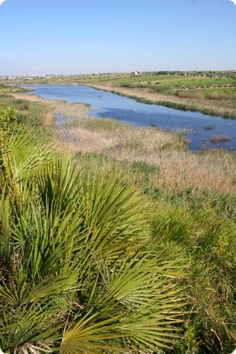 lago preola flora