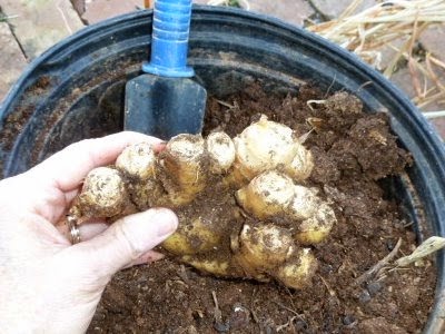 [clip_image0053.jpg]