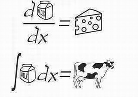 Молочная математика