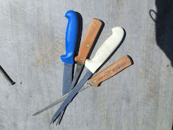 2013-06-17 Hecla Island - 069