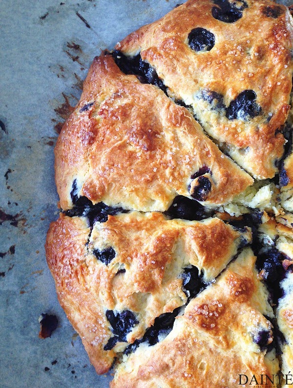 Blueberry Brie Scones Food Recipe Dainte Blog Cooking