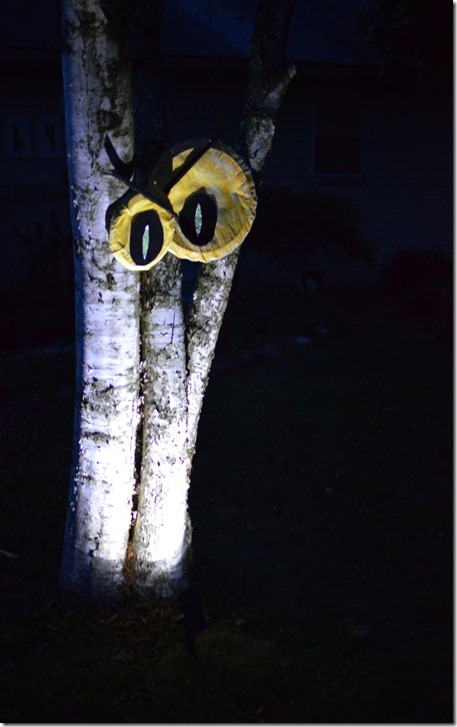 glow in the dark eyes uplighting amy renea a nest for all seasons